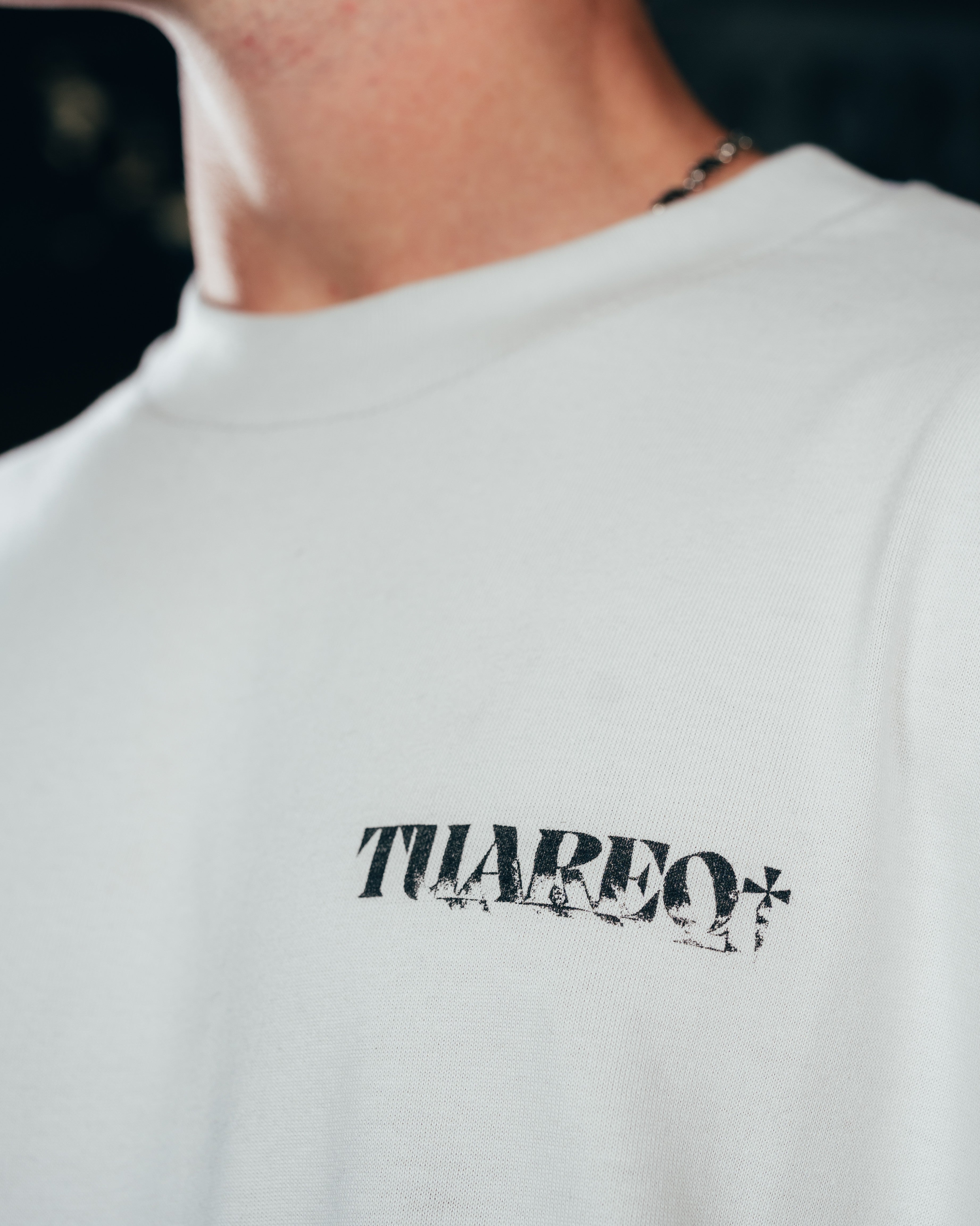 REMERA OVERSIZED [ WARRIOR ] SNAKE GREY