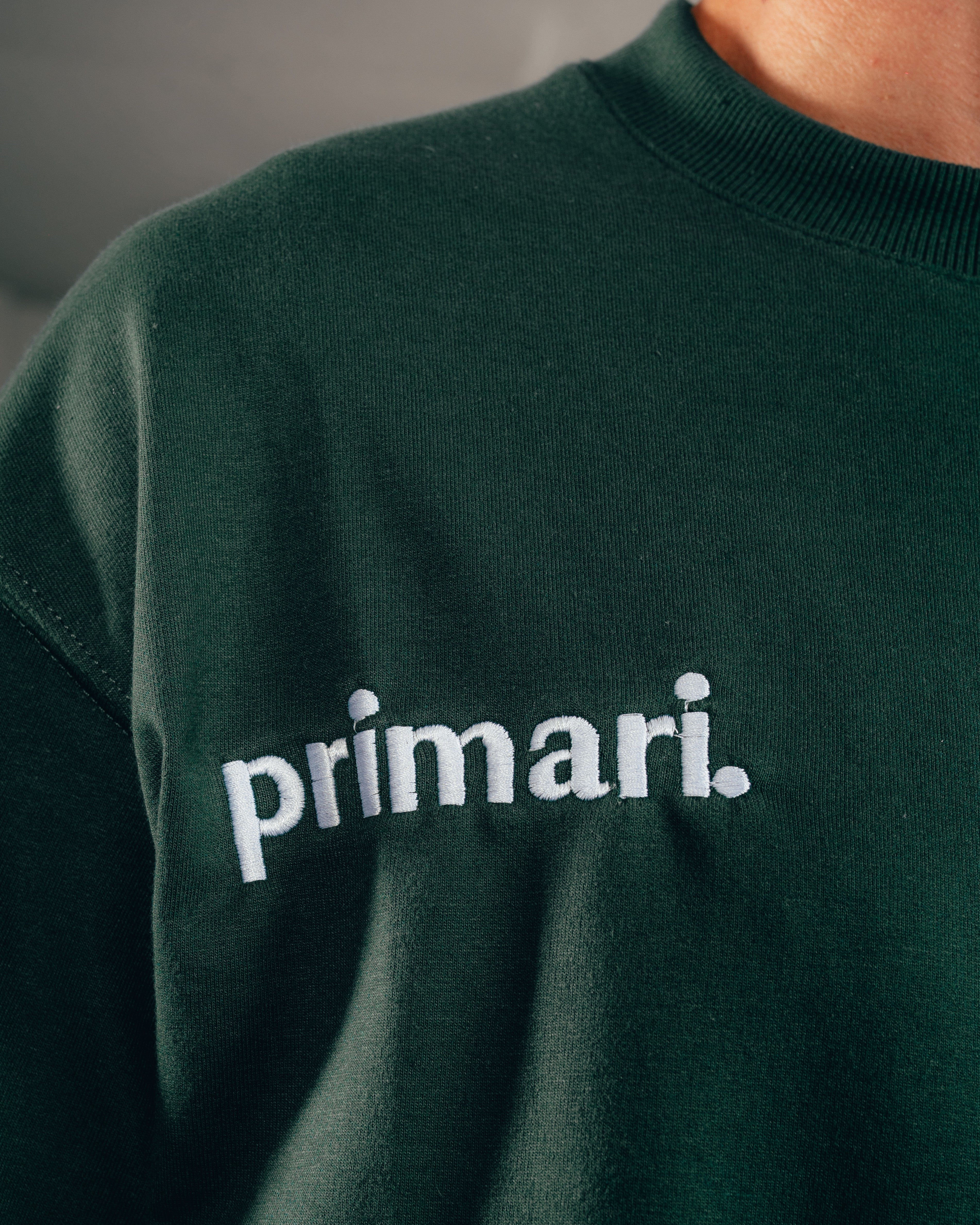 REMERA EXTRA PESADA SEMIOVER LETTER [ PRIMARI ] GREEN