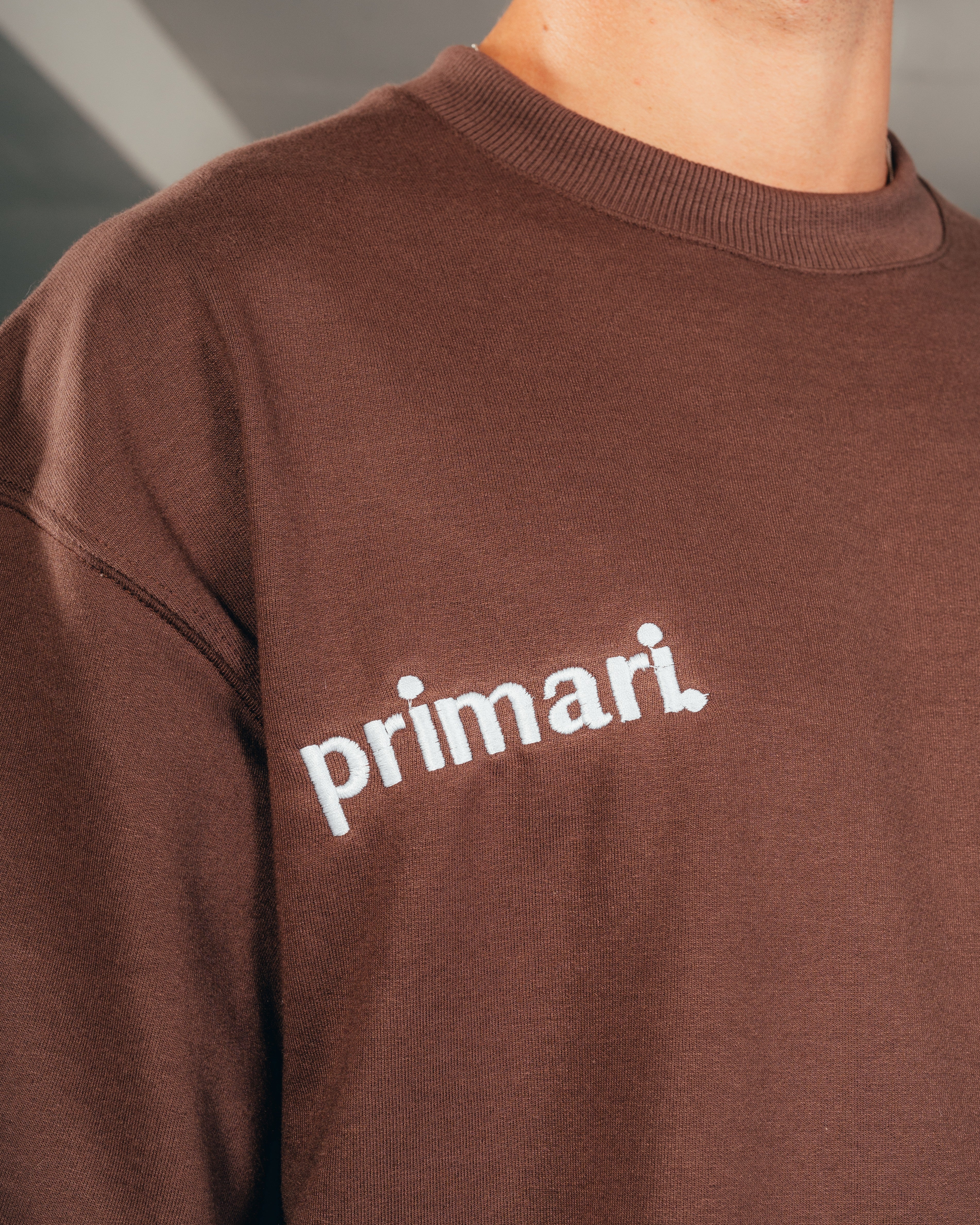 REMERA EXTRA PESADA SEMIOVER LETTER [ PRIMARI ] BROWN