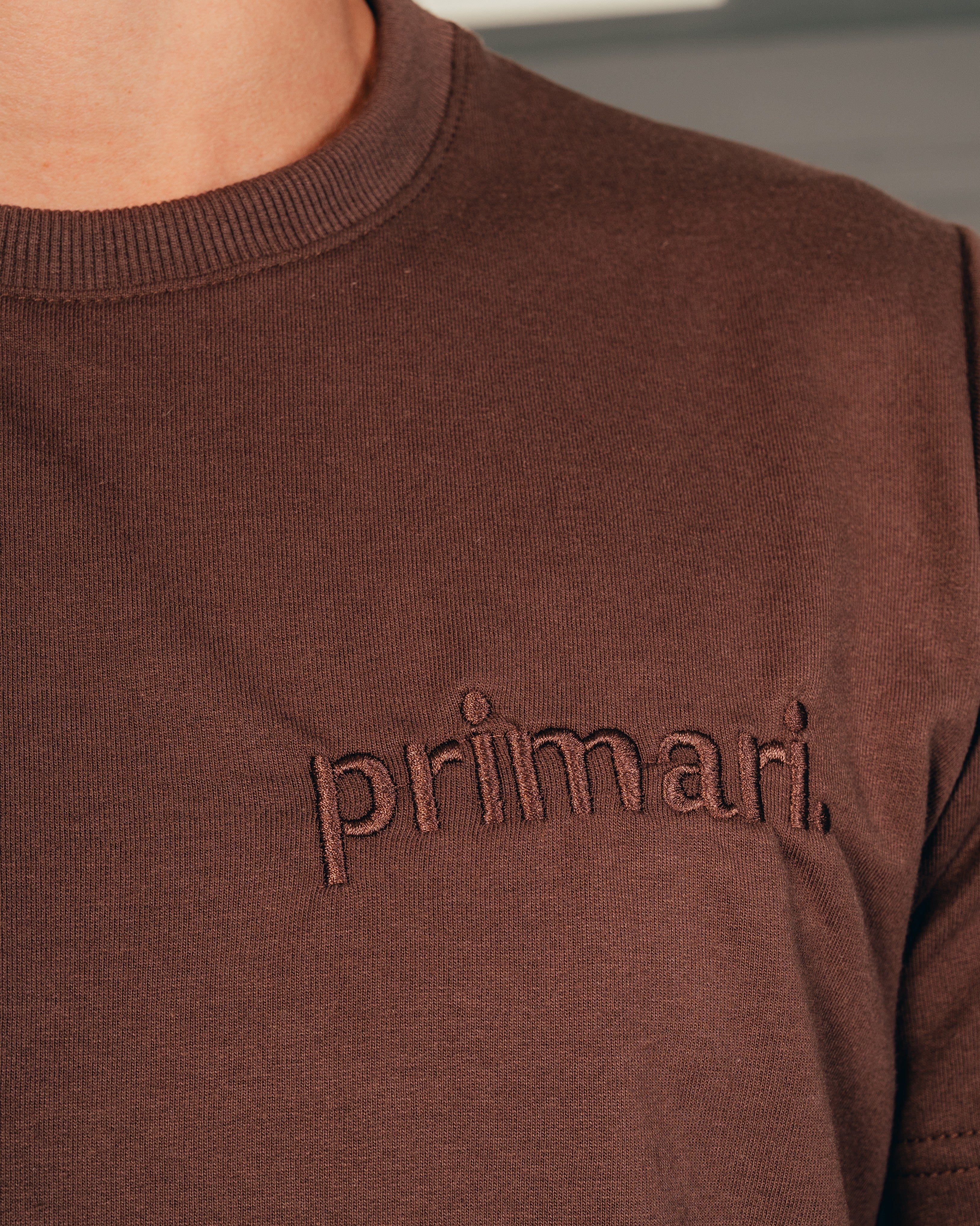 REMERA REGULAR FIT [ PRIMARI ] BROWN