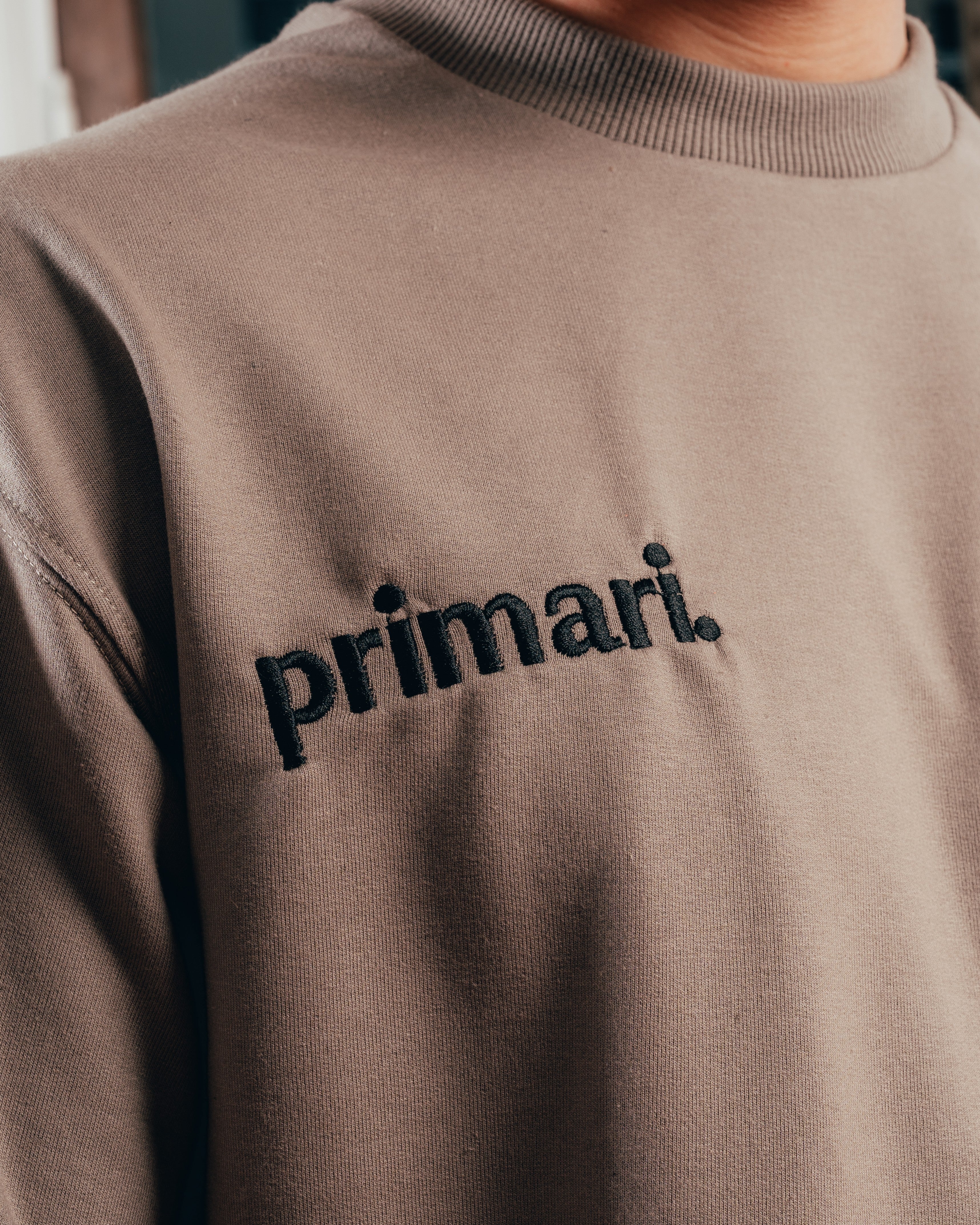 REMERA EXTRA PESADA  SEMIOVER LETTER [ PRIMARI ] VISON