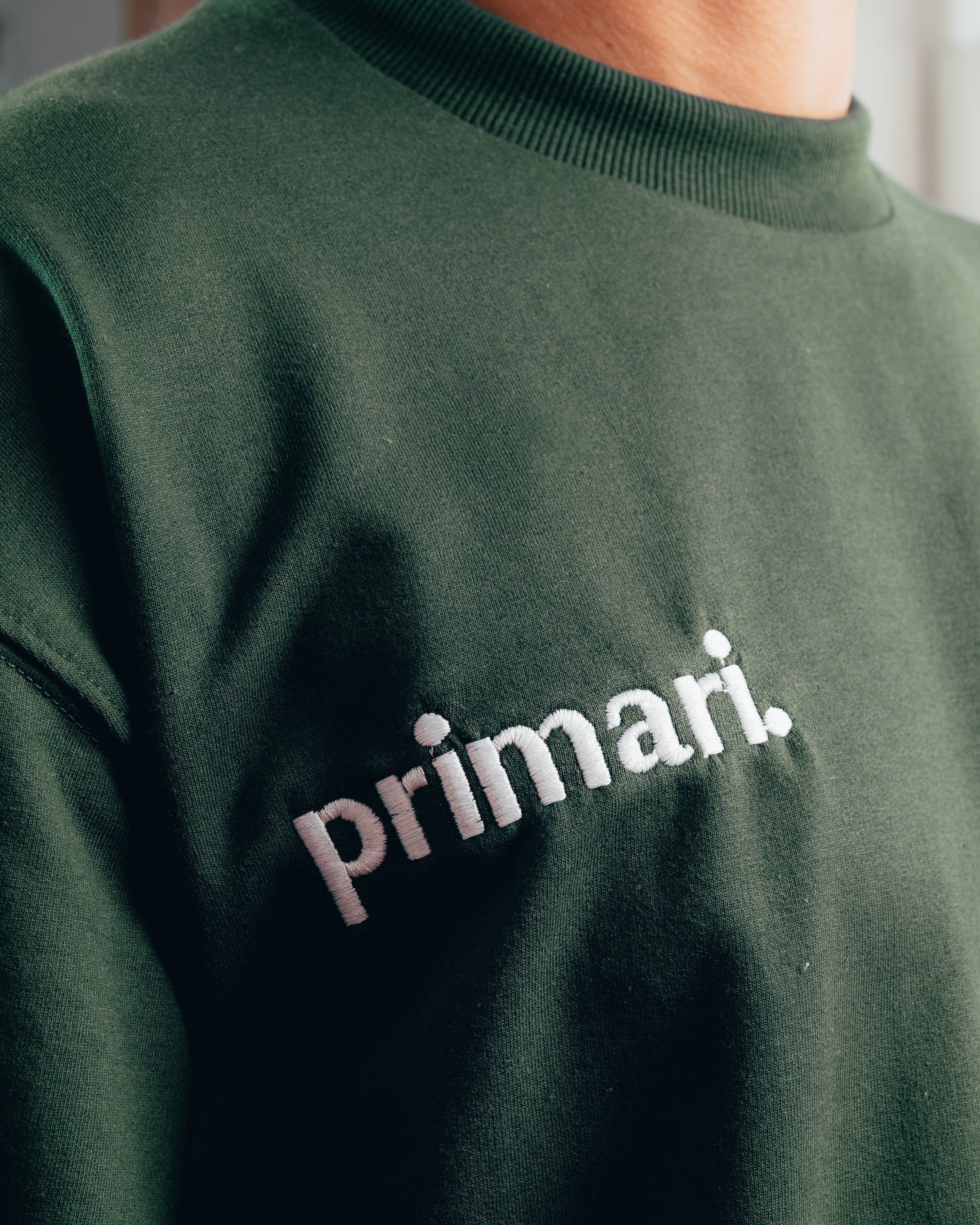 REMERA EXTRA PESADA SEMIOVER LETTER [ PRIMARI ] GREEN