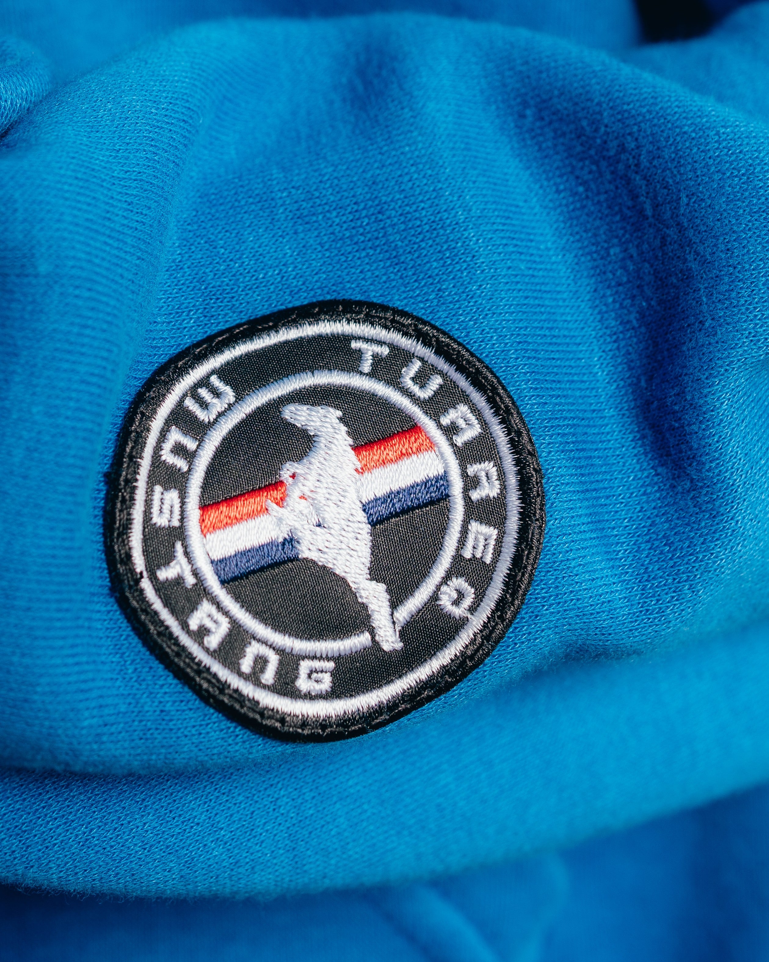 HOODIE EXTRAHEAVY [ FORD ] LOGO BLUE